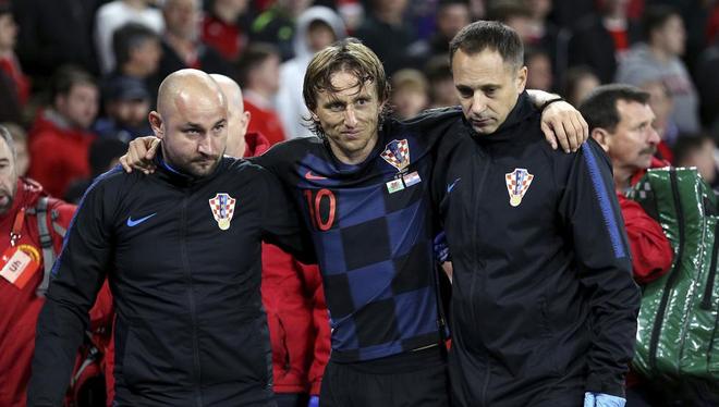 犹如球队的 犹如球队的